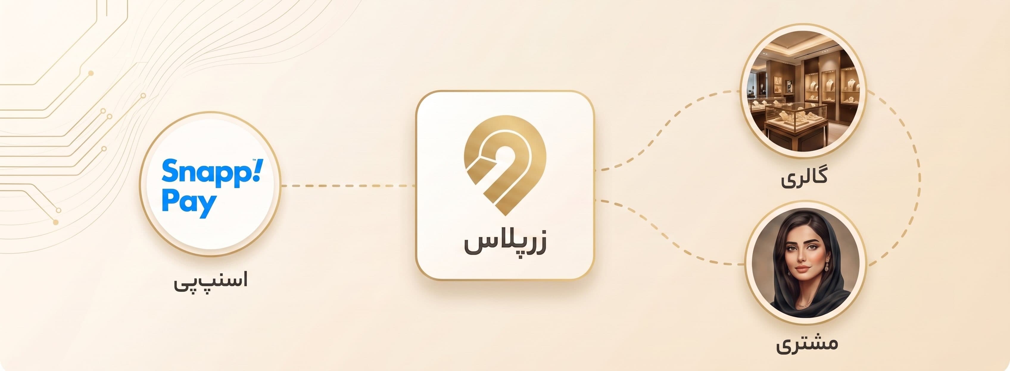 تصویر معرفی ساختار زرپلاس 1